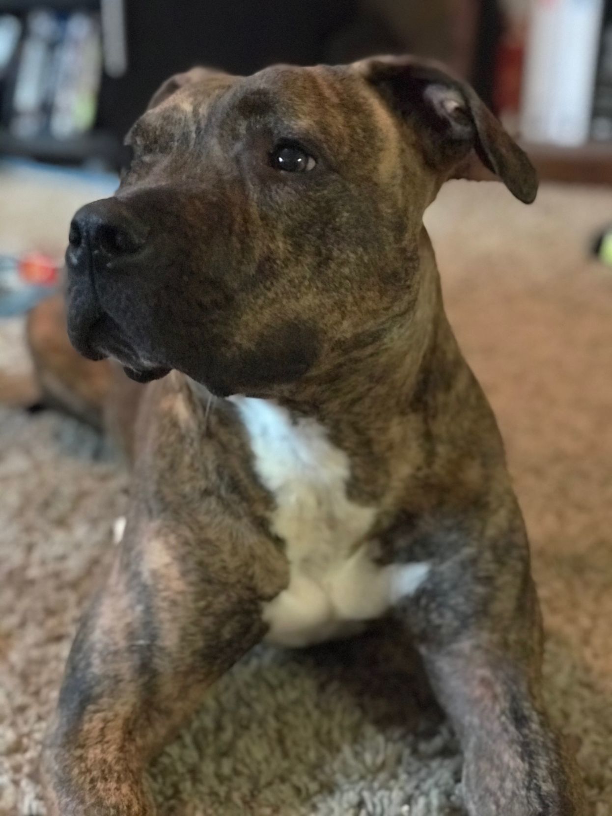 Wallace